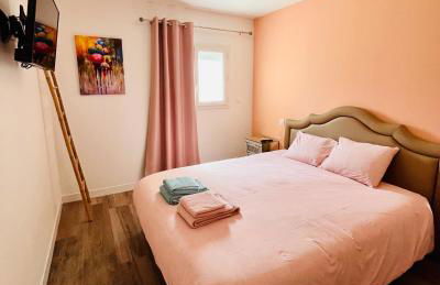 maison chaleureuse ,avec piscine, spa, Futuroscope - Foto 20