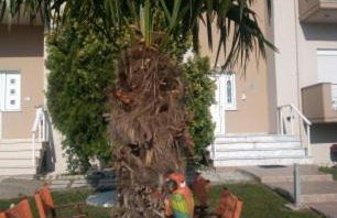 Hotel-Apartments La Strada - Foto 41