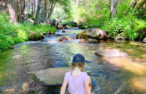 Redwood Retreat, Mountains, Adventure and Nature - Foto 8