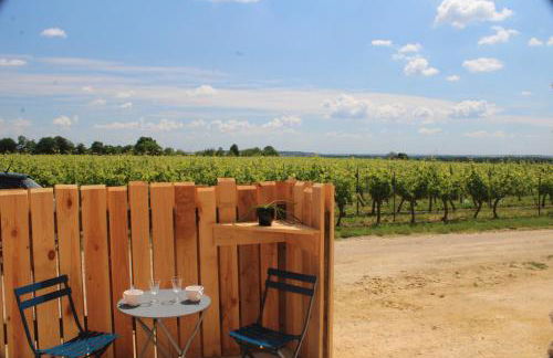 Gîtes Le Saint Martin Le Cosy 1 - 4 pers - Foto 28