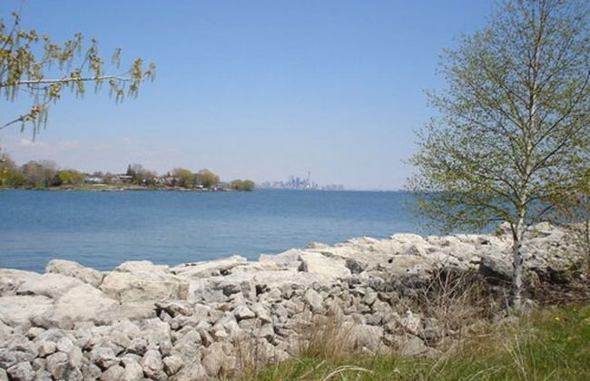 Humber College Lakeshore Campus Residence - Photo 18