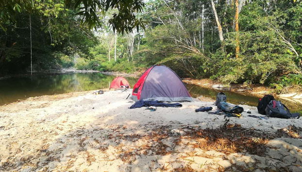 Un campement au cœur de la forêt