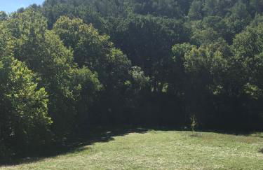 L'Olivier Fleurie Barjols - Foto 43