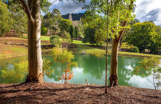 Murphy's Cottage - Foto 20