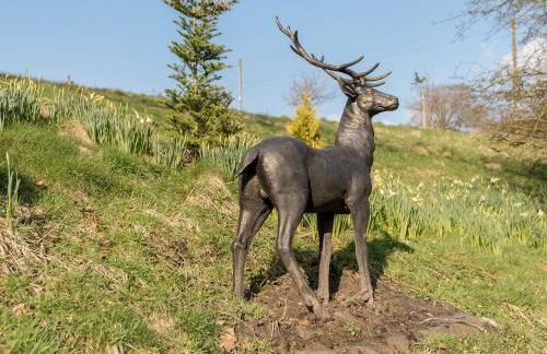 Narrowgates Cottage - Foto 29