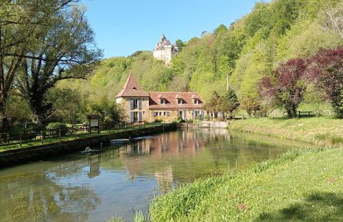 Gîte du Domaine du Moulin de la Roque - Foto 16