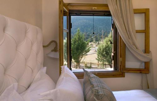 Parnassos Chalets - Foto 69