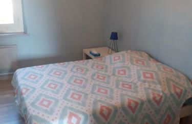 L'oiseau bleu - Foto 59