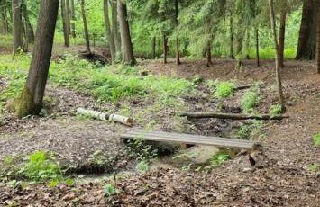 Sosnowy Strumyk - Foto 47