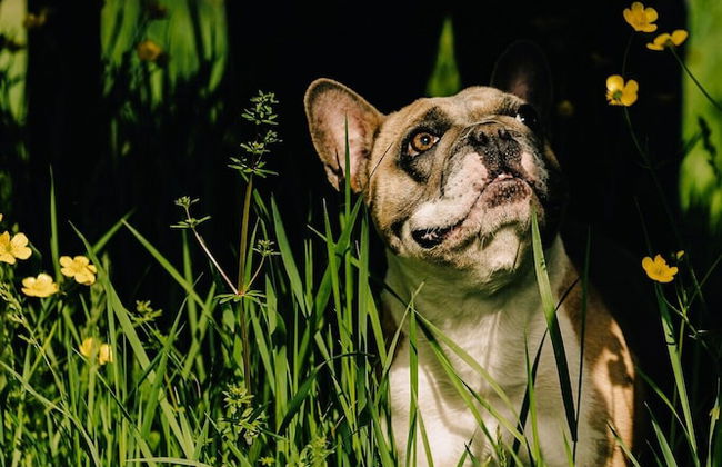 Asolo Norah's Hill Agri Rooms - Foto 88