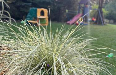 Chatka Jezioranka & bania - Foto 52