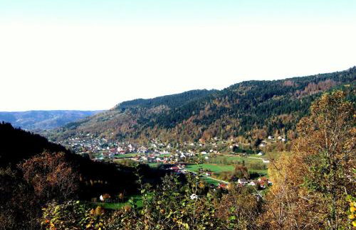 Chalet in La Bresse near Ski Slopes - Foto 19