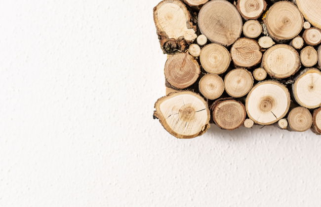 Apart Schachinger - Foto 19