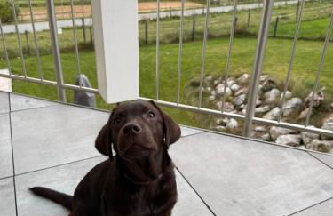 XXL Panoramablick mit gratis KönigsCard - Foto 51