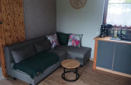 Domek Zielenina - Foto 44