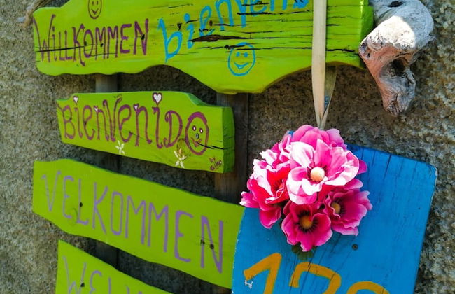 Casas Maravilha - Rvore by Homie - Foto 35