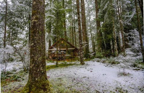 Zoe's Log Cabin - Foto 44