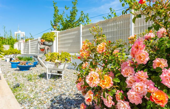 Villa Mina Large Private Pool A C Wifi Car Not Required Eco-friendly - 2834 - Photo 46