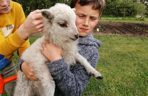 Camping La Loire Fleurie - Foto 39