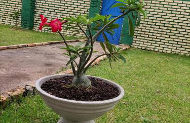 Casa em Águas Belas CE - Foto 7