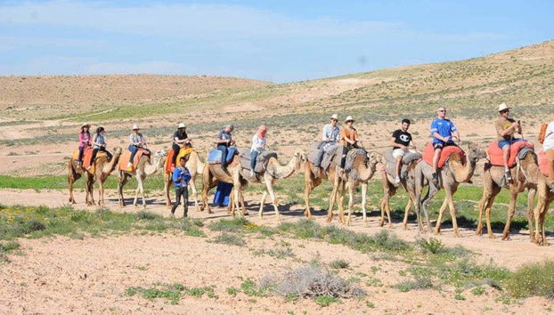 Desert Camel Ride + Dinner - Foto 2