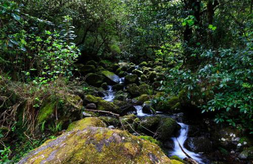 Casa Nunes - Foto 54