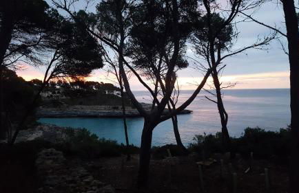 Agroturismo Mondrago -Antic Na Martina- - Foto 75