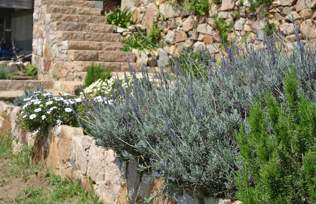 Mira Guincho house with sea view and garden - Photo 66