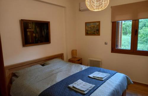 Joy,s little house - Palio Mikro Chorio - Photo 14