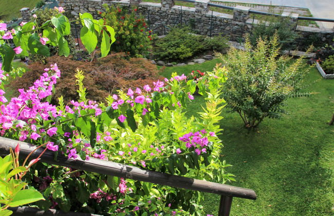 2 bedroom Apartment in Cremia with garden - Photo 18