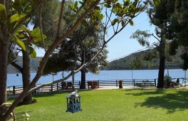 Pinelopi’s House - Foto 58