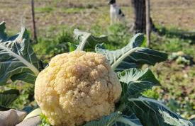 Agriturismo Etico Le Grazie - Foto 43