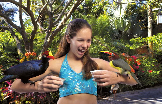 Billet pour Aquatica San Antonio - Photo 6