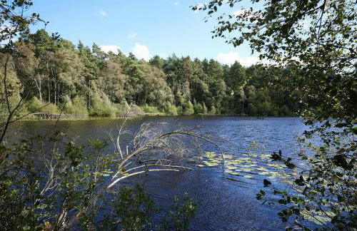 Ferienwohnungen am Federower Hofsee - Photo 28