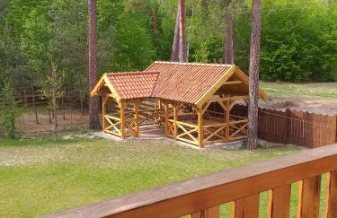 Mazurska Gajówka - Foto 54