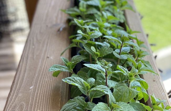 Alluring Family Chalet in Wagrain with Sauna near City Center - Foto 24