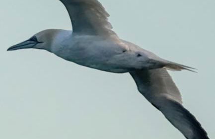 Vientos y Mares - Foto 33