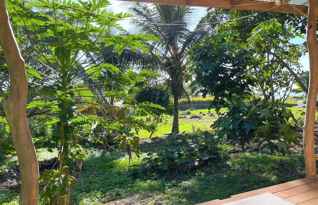 Gingerhill Farm Retreat - Foto 29