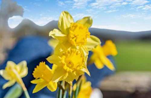 1 Bed in Fremington oc-p28143 - Foto 22