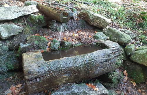 Holiday Home AnNo Wohlfühlplatzl by Interhome - Photo 23