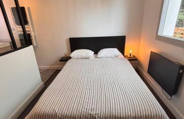 Charmant appartement Toulouse - Foto 4