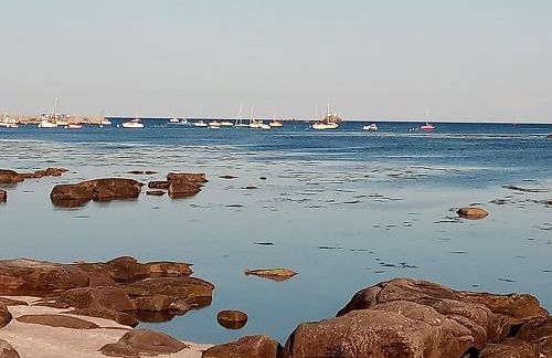 MAISON AVEC JARDIN PROCHE MER - Foto 49