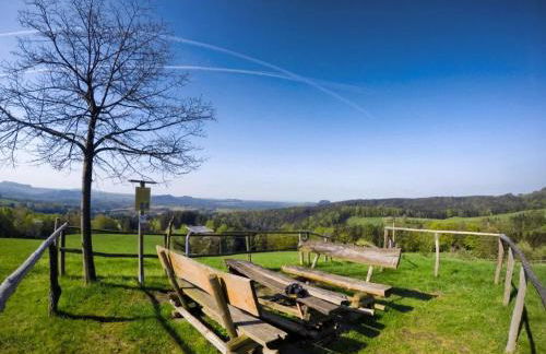 Weitblick am Hankehübel - Foto 13