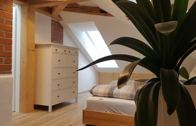 Dresdner-Tag Hermann - Foto 3