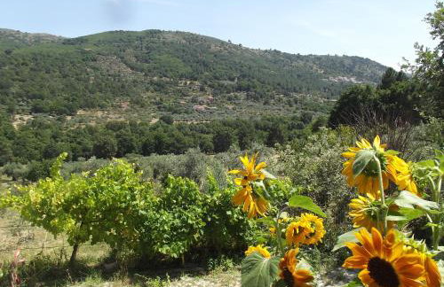Quinta do Pina - Foto 37