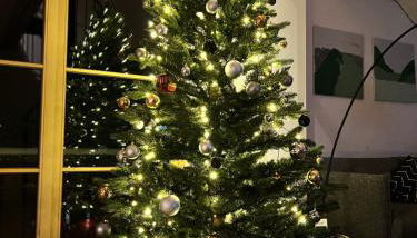 Edelschwarz Allgäu - Foto 3