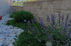 Villa Terra Nuova - Photo 11