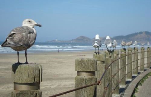 Nye Beach, Close to everything, Ocean View! Beach Bum-Galow - Foto 32