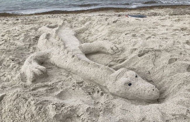 Am Stadtwald Apartment 3 - Foto 22