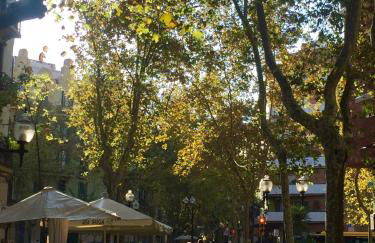 Charm Miró - Photo 30